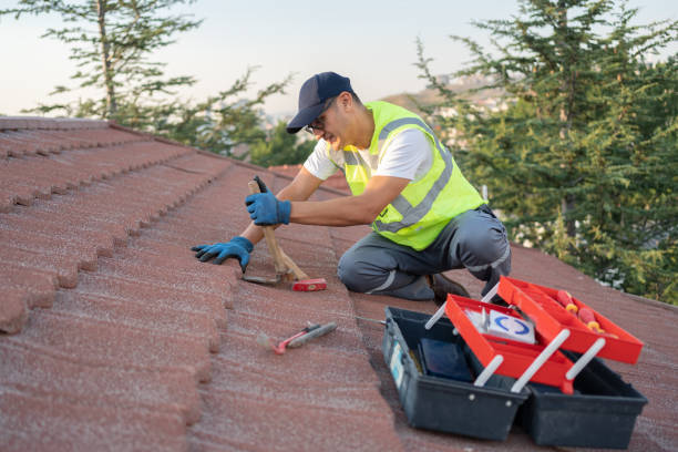 Roof Gutter Cleaning in Fallsburg, NY